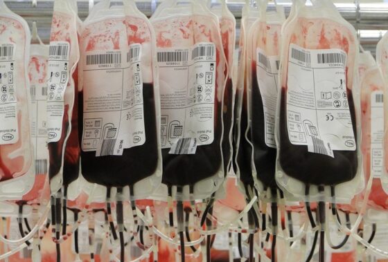 14 Junio Día Mundial del Donante de Sangre